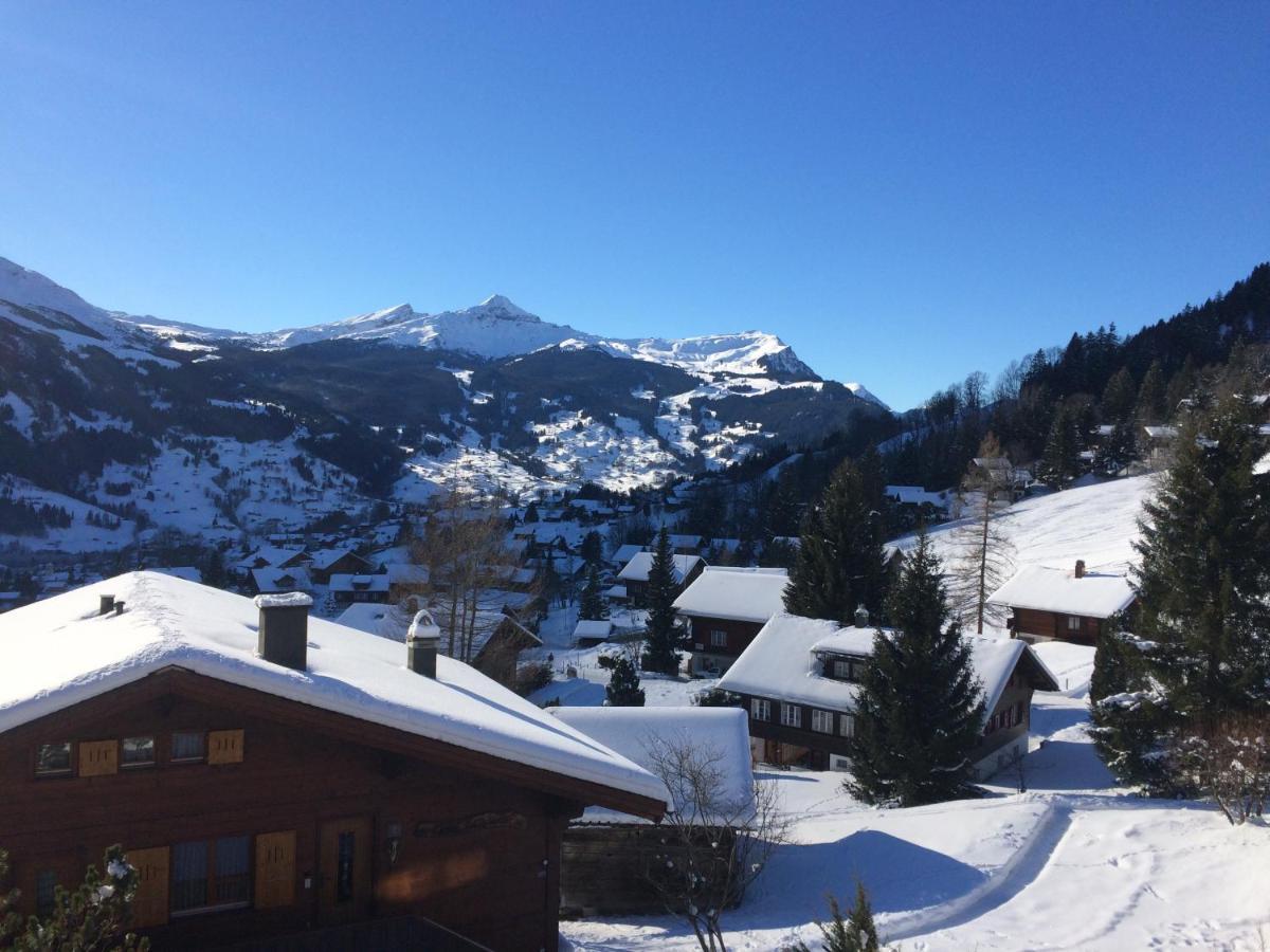 Appartement Grindelwald-Sunneblick Extérieur photo