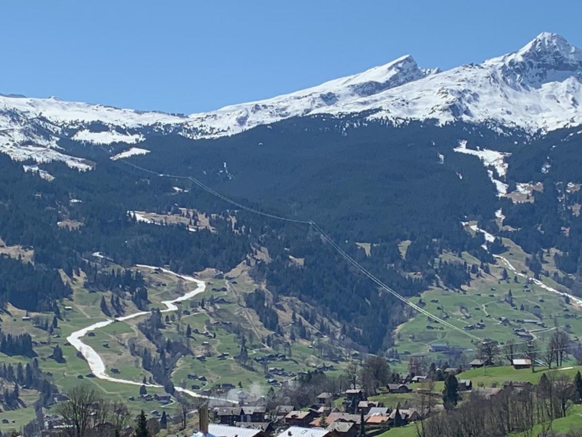 Appartement Grindelwald-Sunneblick Extérieur photo