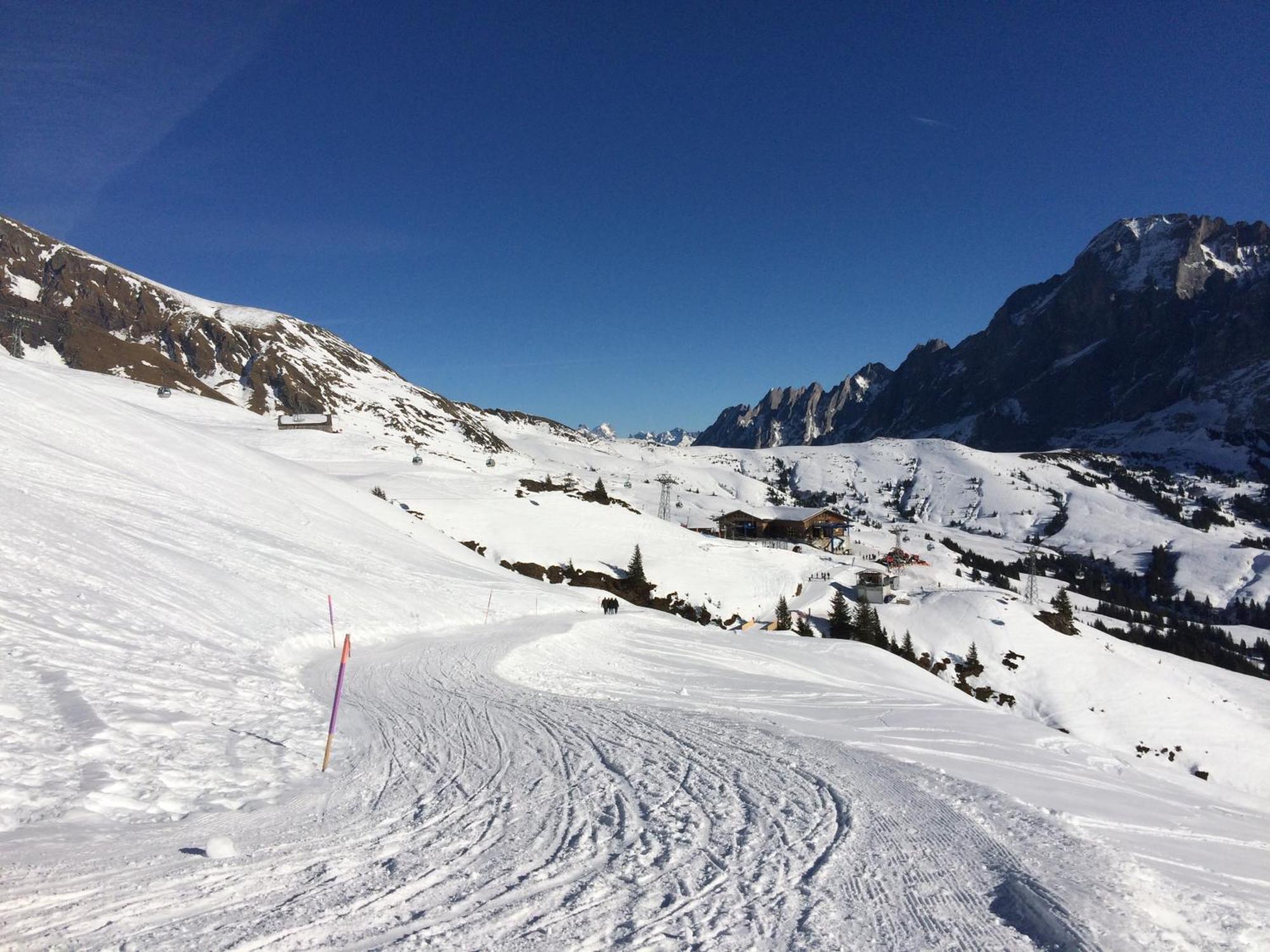 Appartement Grindelwald-Sunneblick Extérieur photo